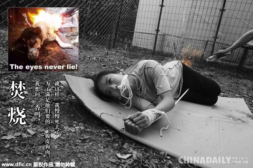 舞者扮演流浪狗 讲述狗生拒绝伤害