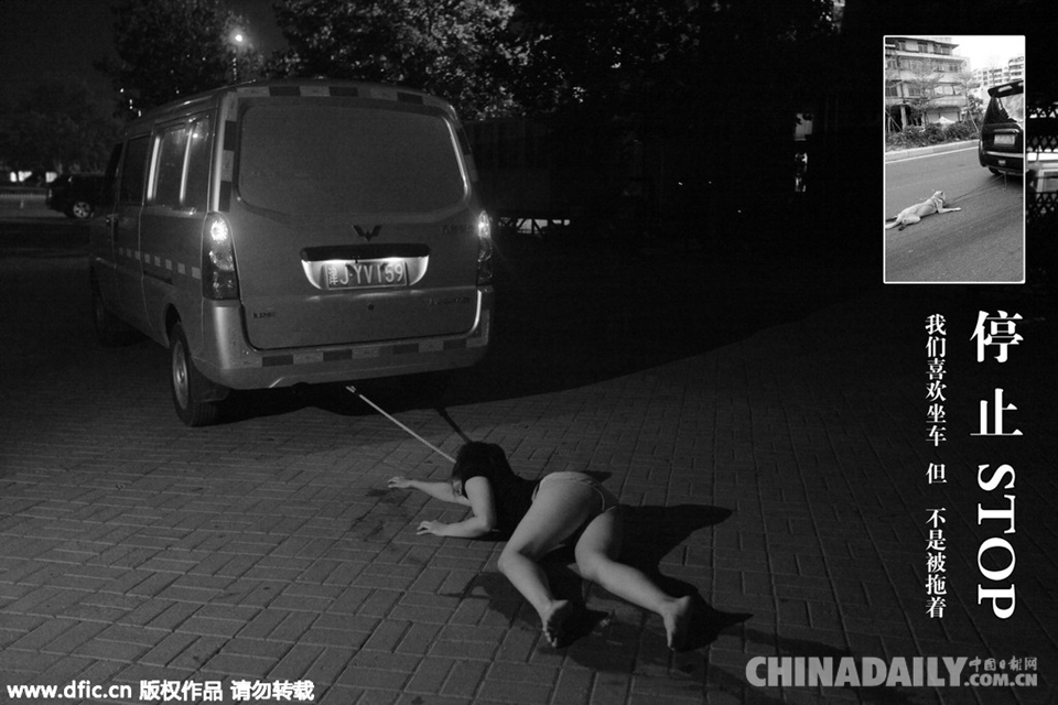 舞者扮演流浪狗 讲述狗生拒绝伤害