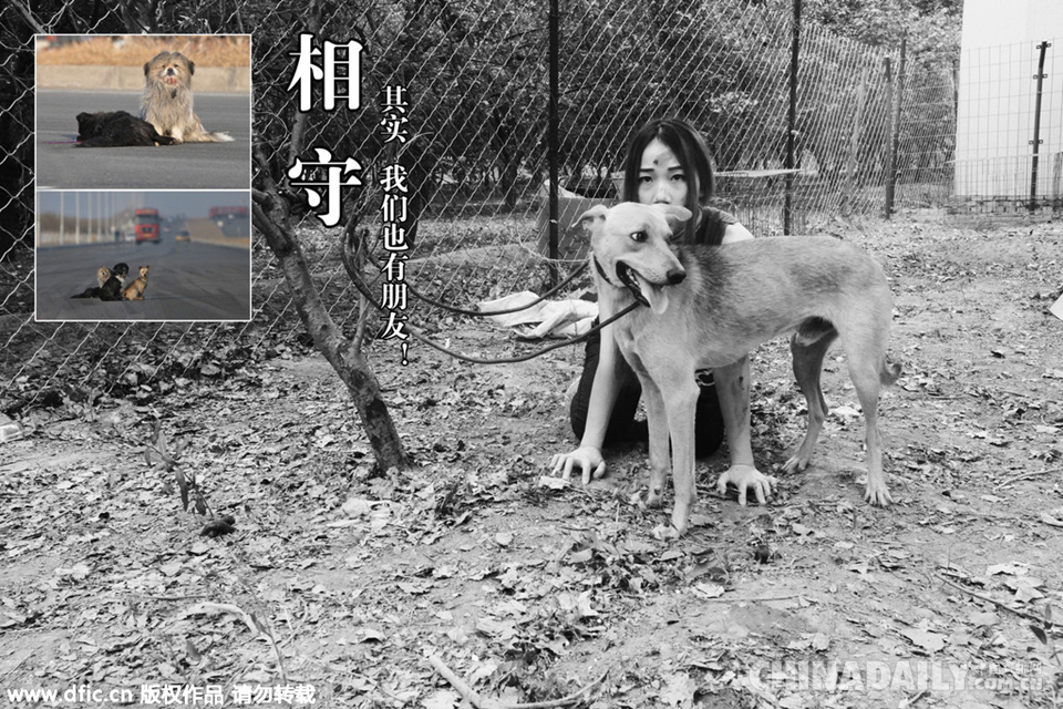 舞者扮演流浪狗 讲述狗生拒绝伤害