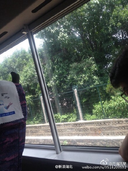 动车发车5分钟后因设备故障停驶 乘客砸窗透气