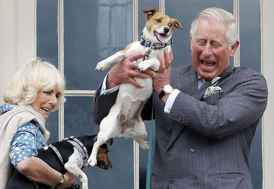 查尔斯王子访苏格兰 抱小狗大笑一幕