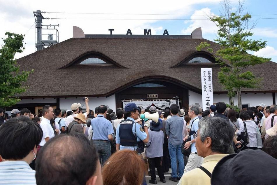 日本为人气猫站长举行葬礼 3千人参加