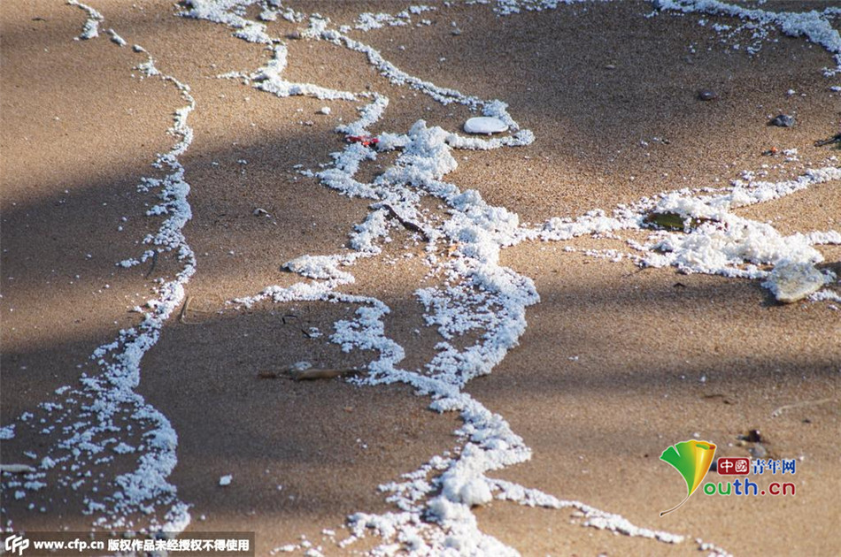 三亚湾大量海洋垃圾漂浮海面