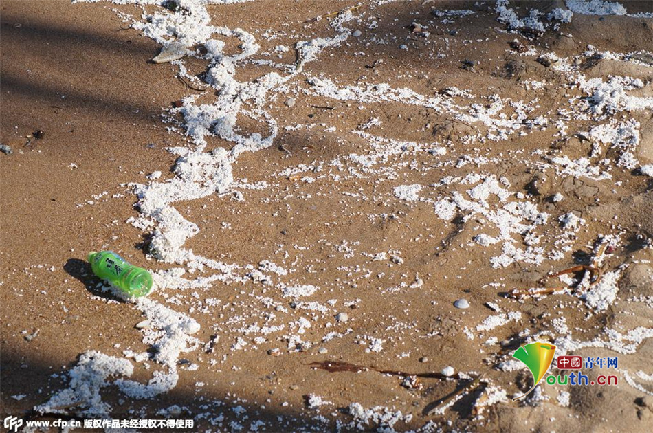 三亚湾大量海洋垃圾漂浮海面