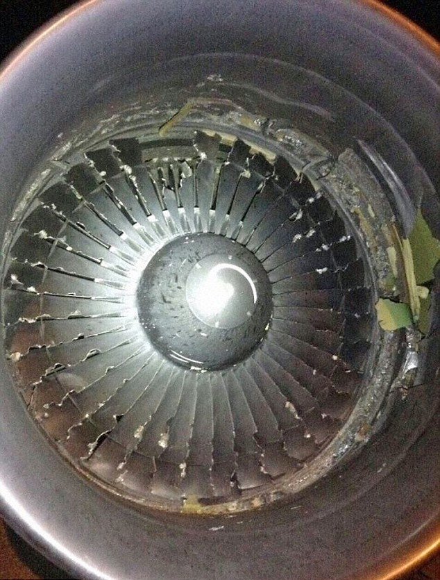 俄航客机起飞时遭遇鸟击 引擎起火爆炸返航