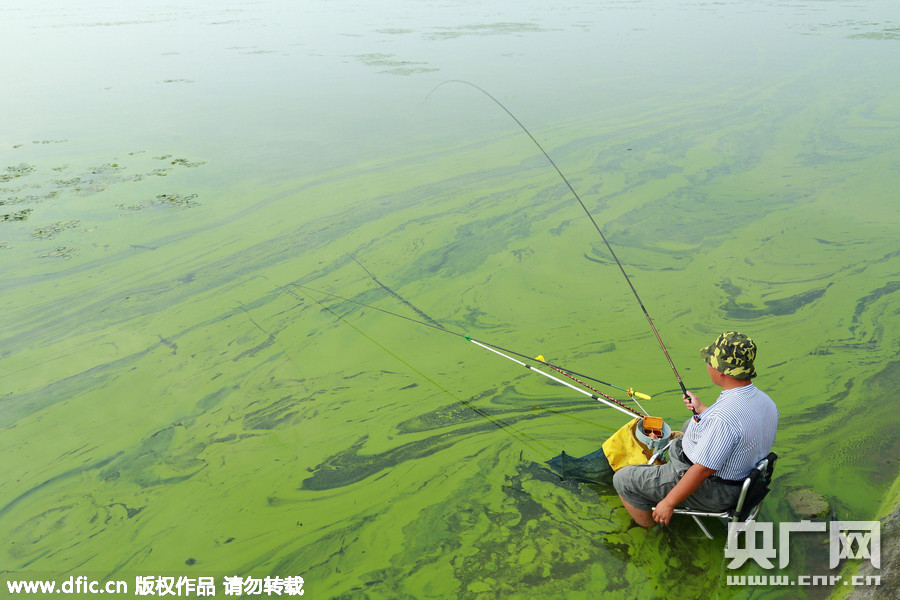 无锡治理太湖8年投入将近500亿 蓝藻还未消失