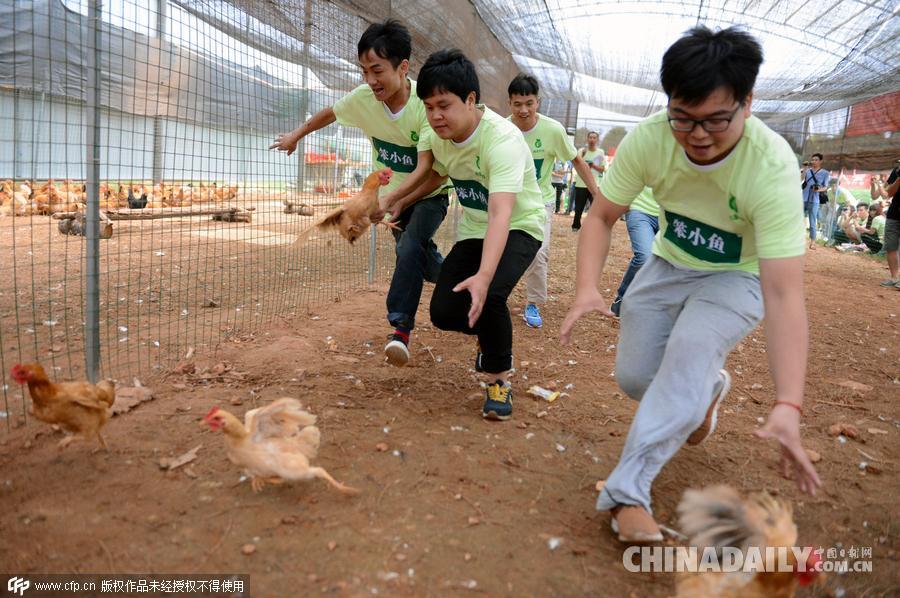 长沙举办"抓鸡大赛" 你争我抢乐翻天