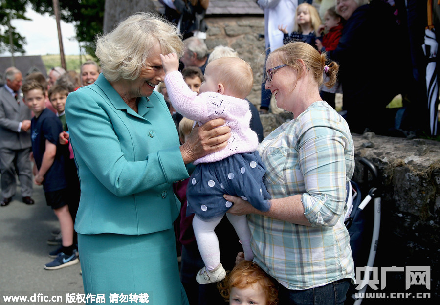 查尔斯王子夫人访问威尔士被<em>宝宝抓头发</em>[1]- 中