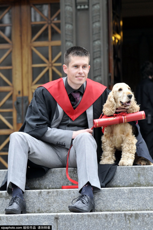 苏格兰可爱狗狗穿学士服 和主人参加毕业典礼