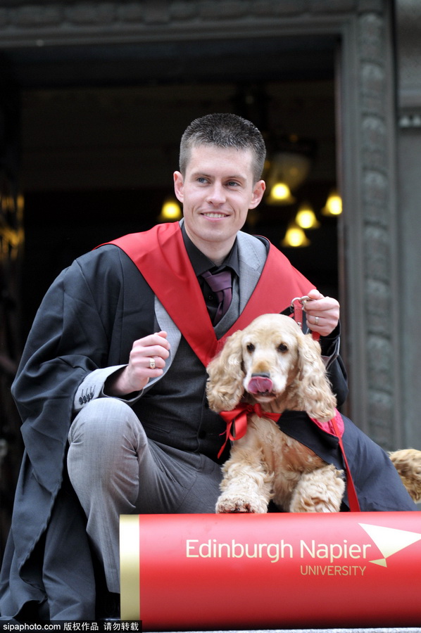 苏格兰可爱狗狗穿学士服 和主人参加毕业典礼