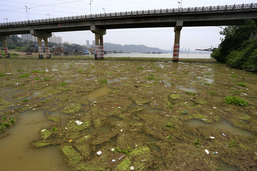 湖北宜昌长江支流水面现巨型垃圾漂流带