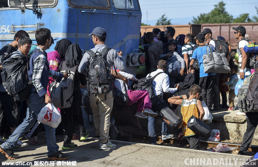 马其顿车站挤满非法移民 争先恐后钻入火车