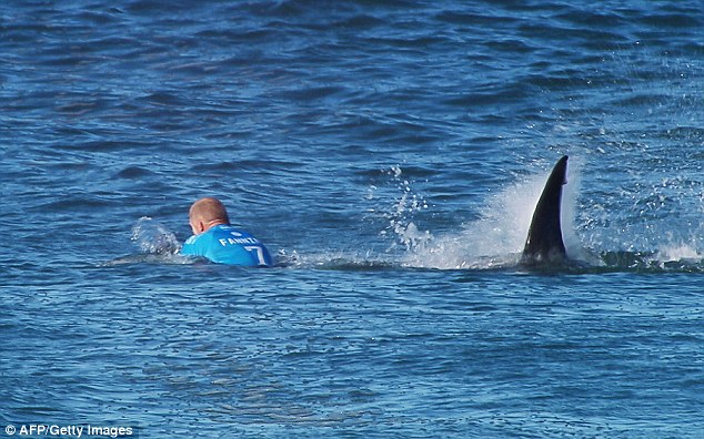 世界冲浪冠军比赛中遭鲨鱼袭击全程
