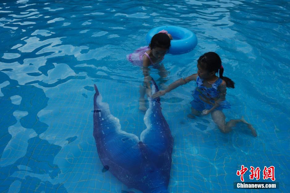 图片故事：重庆女孩的“人鱼梦”
