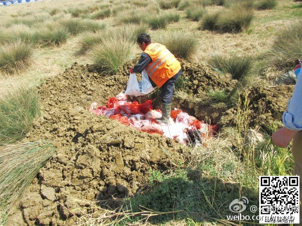 “死牛烂马”运到昆明 流入餐馆学校