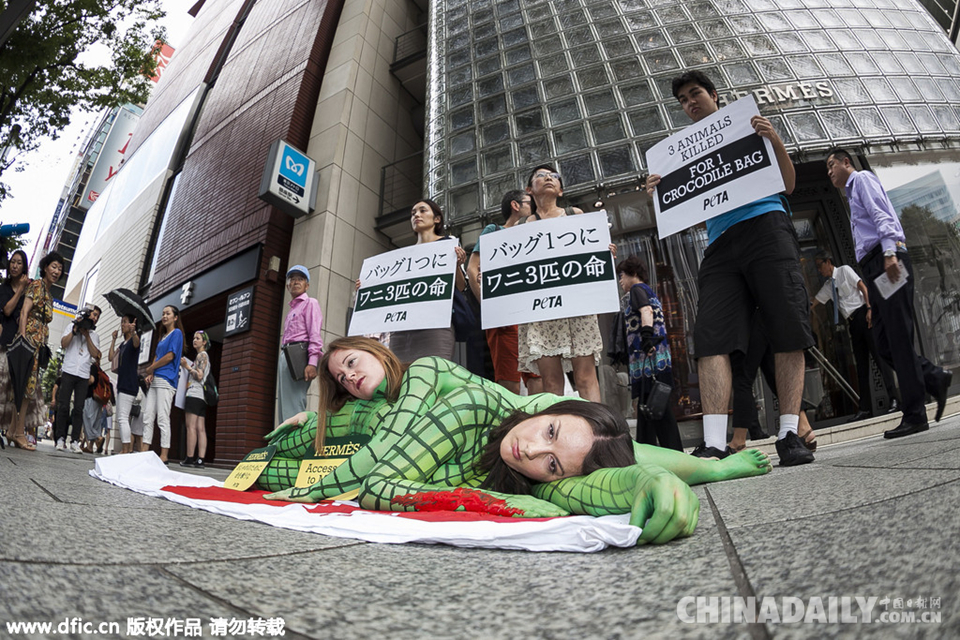 爱马仕屠杀鳄鱼制包 遭日本活动家抗议