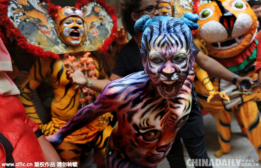 印度民众老虎纹彩绘上身 庆祝世界老虎日