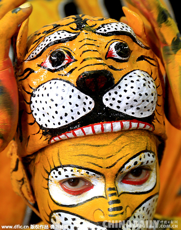 印度民众老虎纹彩绘上身 庆祝世界老虎日