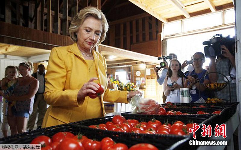 希拉里竞选拉票不忘逛菜场 抽空选购大西红柿