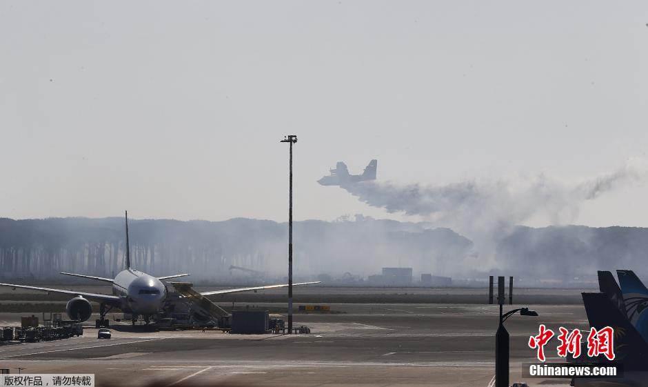 意大利罗马机场外发生火灾 进出港航班受影响
