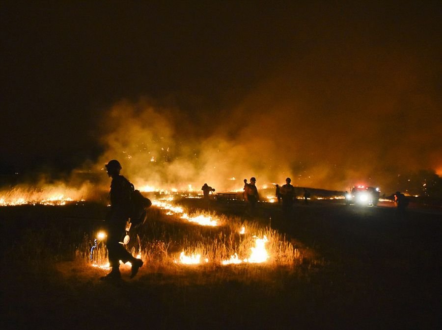 美国加州森林大火持续超一周 系男童玩火引发