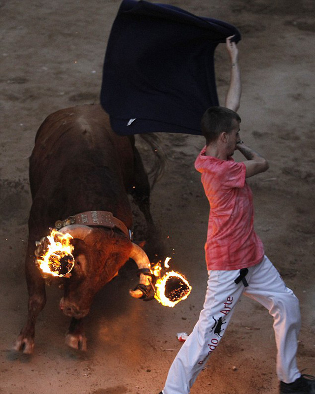 西班牙另类奔牛节：公牛双角“冒火”冲向人群