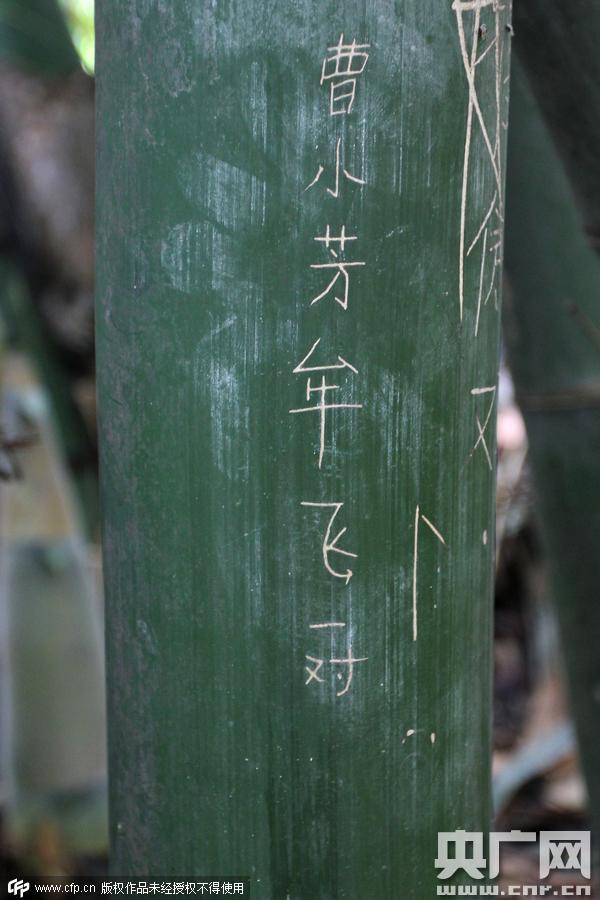 黄果树景区多种植物遭刻字
