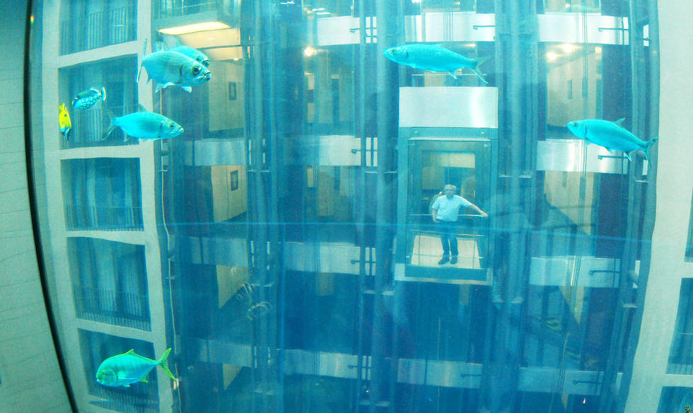 德国建8层楼高巨型鱼缸 游客可乘电梯观光