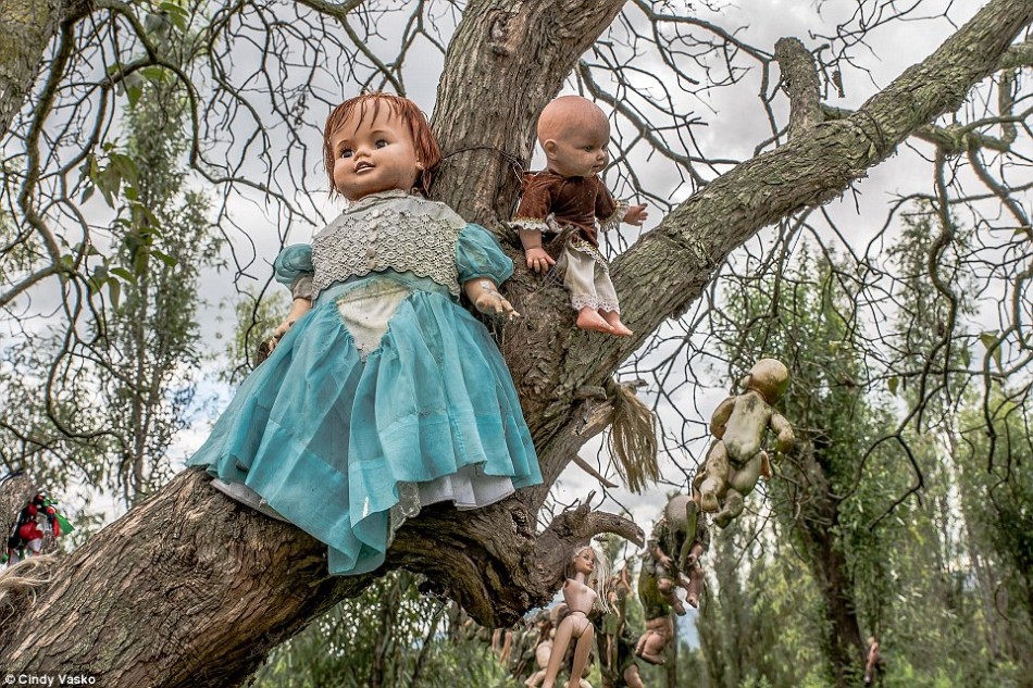 探访墨西哥恐怖森林 上万被肢解的娃娃玩具