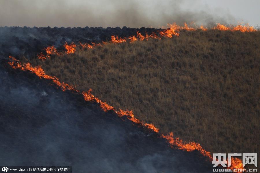 加州山火肆虐 烧毁16000英亩土地[1]