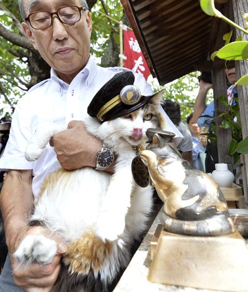 日本和歌山市民营铁路上任新“猫站长”