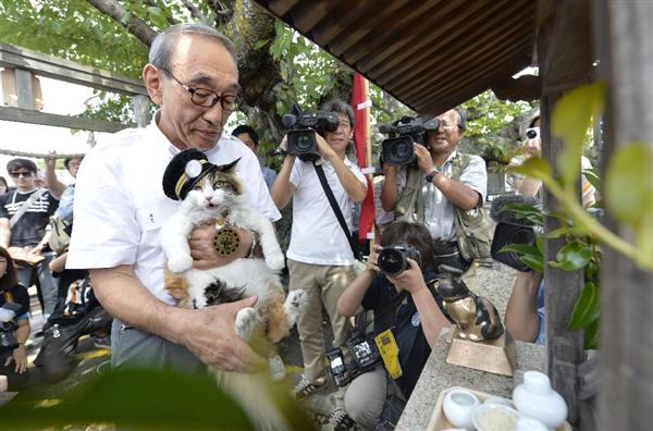 日本和歌山市民营铁路上任新“猫站长”