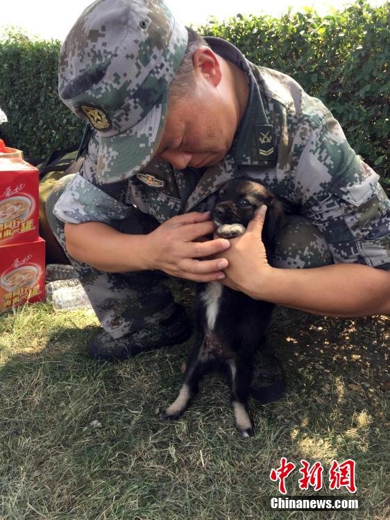 防化团战士救出天津爆炸幸存小狗 取名“生化”
