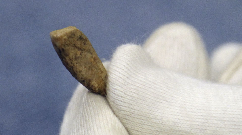法国发现境内最古老人类牙齿 距今56万年
