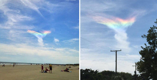 美国居民拍到凤凰展翅“火彩虹”