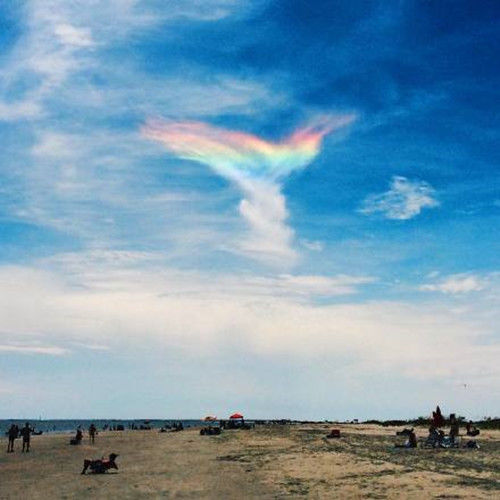 美国居民拍到凤凰展翅“火彩虹”