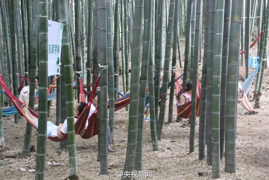 为不让更多竹子受伤 景区专设竹林供游客刻字