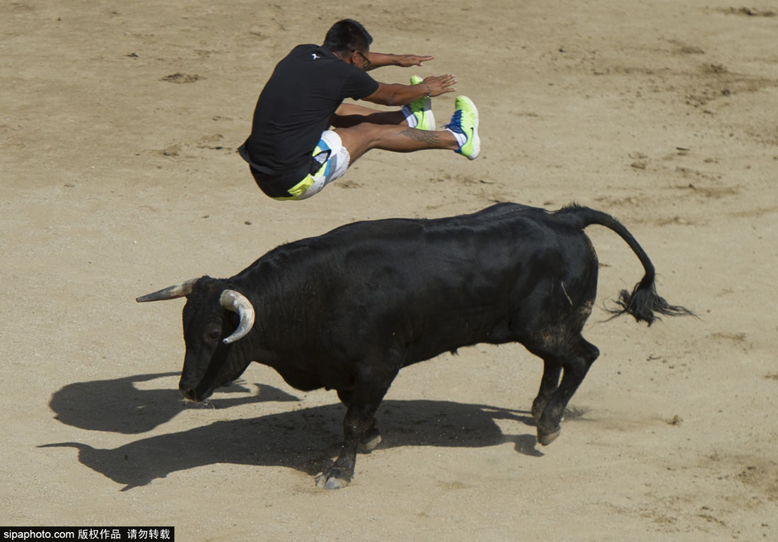 西班牙奔牛节：民众高难动作争相斗牛