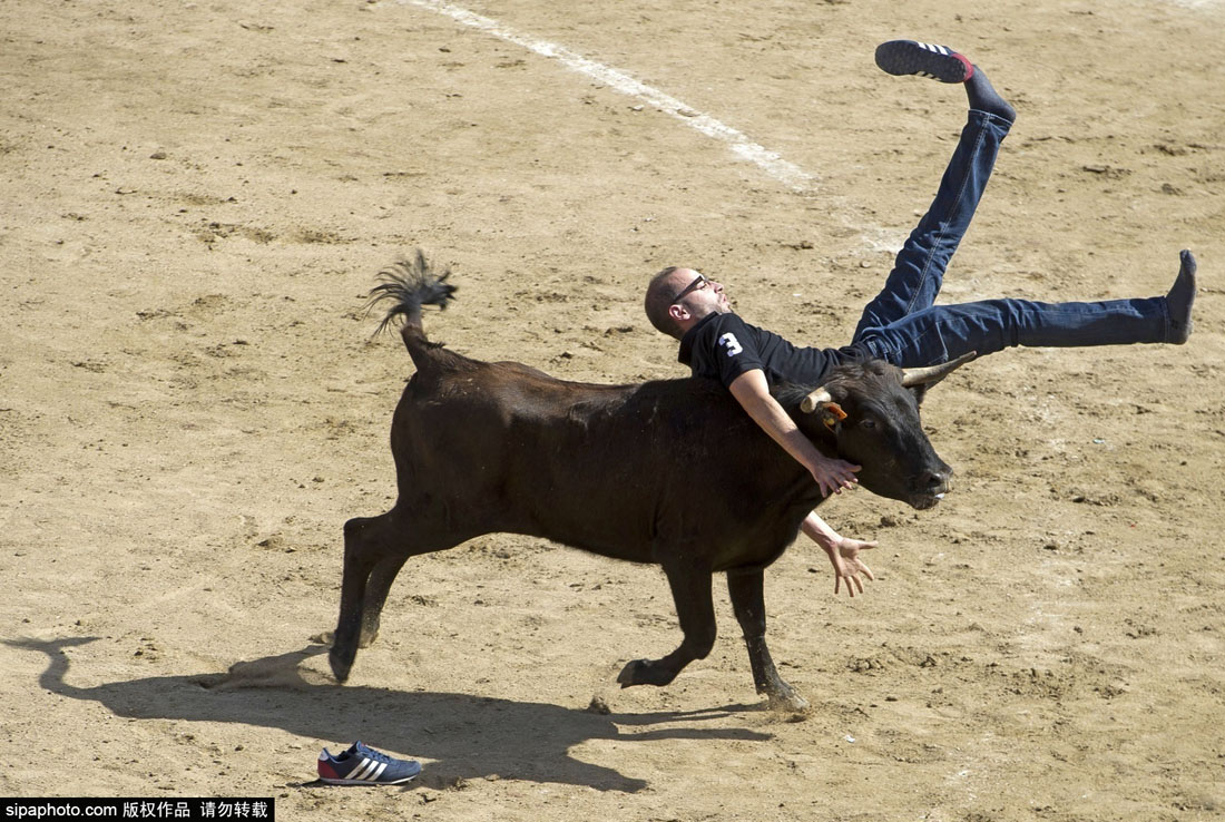 西班牙奔牛节：民众高难动作争相斗牛