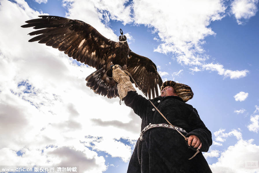 蒙古：最后的70位训鹰师