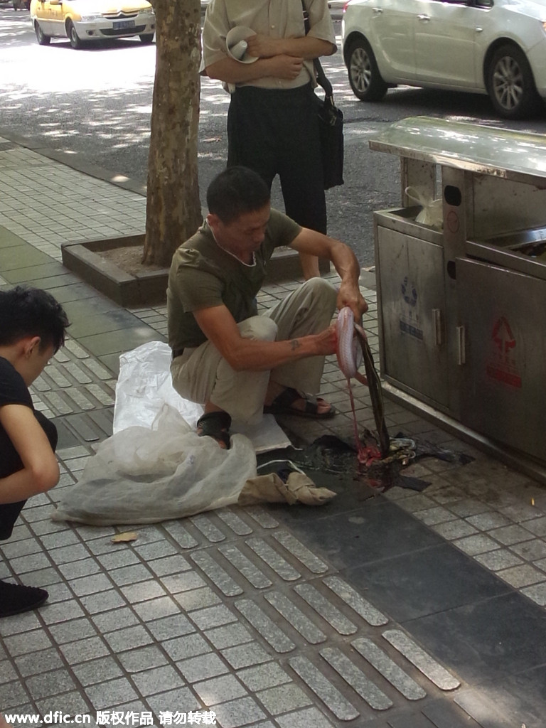 重庆街头惊现宰杀活蛇出售