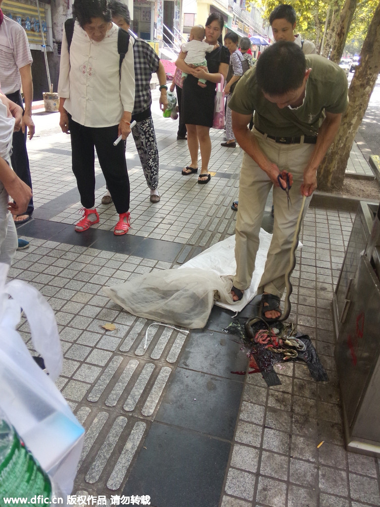 重庆街头惊现宰杀活蛇出售