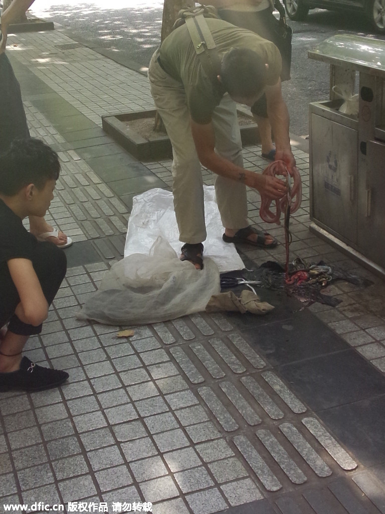 重庆街头惊现宰杀活蛇出售