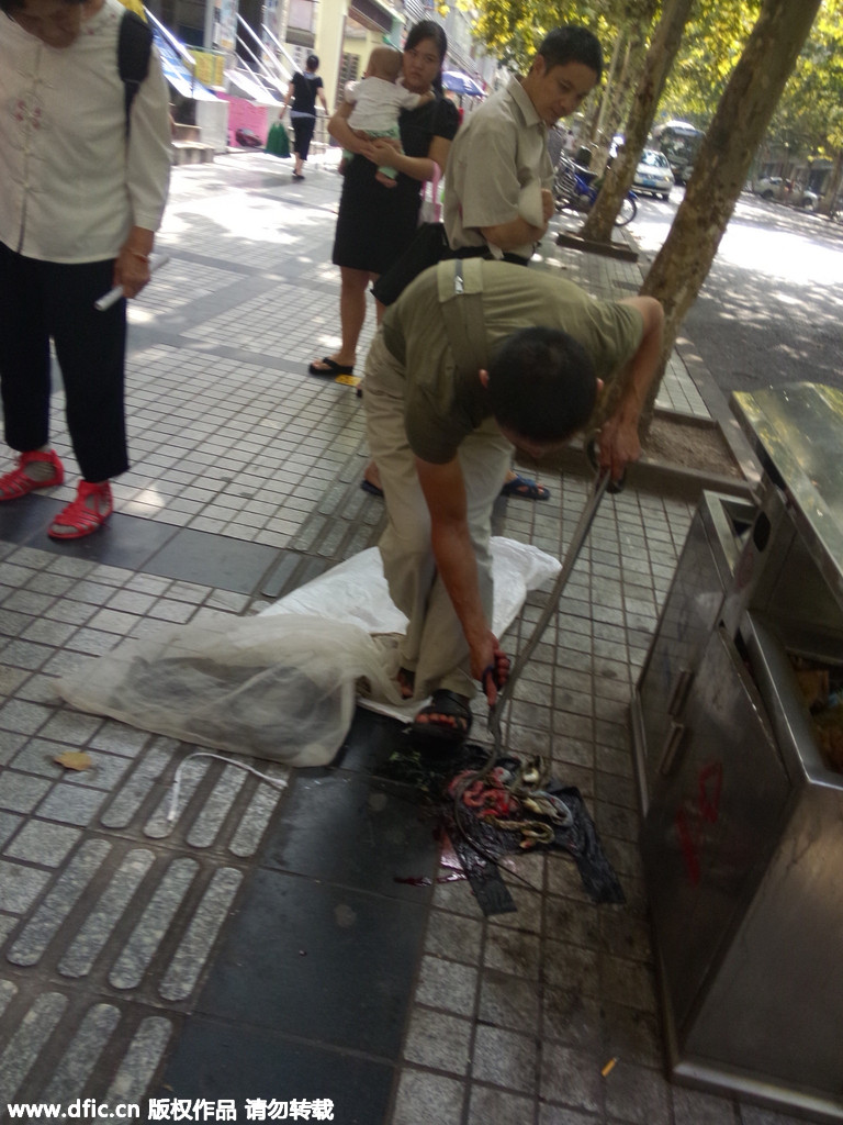 重庆街头惊现宰杀活蛇出售