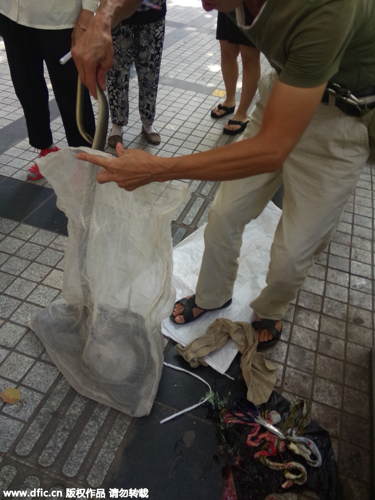 重庆街头惊现宰杀活蛇出售