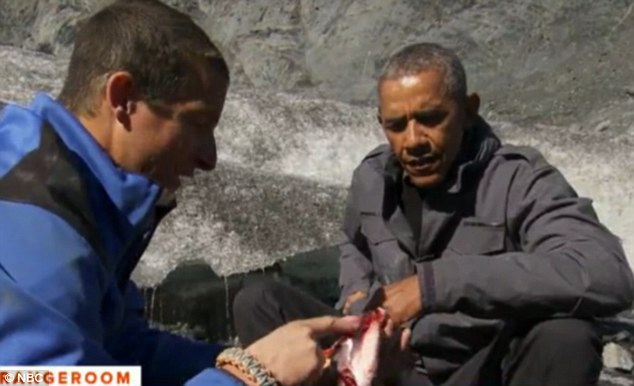 奥巴马参加荒野求生 吃北极熊遗弃鱼块