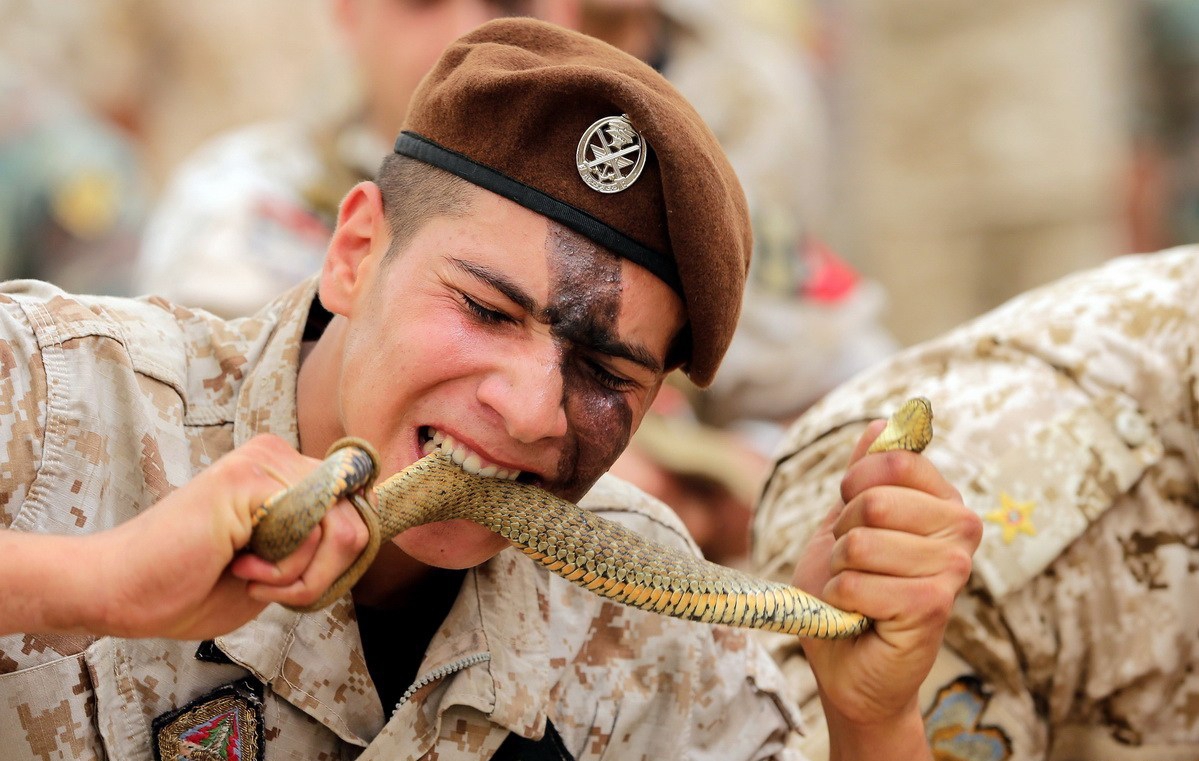 黎巴嫩突击队士兵秀绝技 生吃活蛇徒手拉车