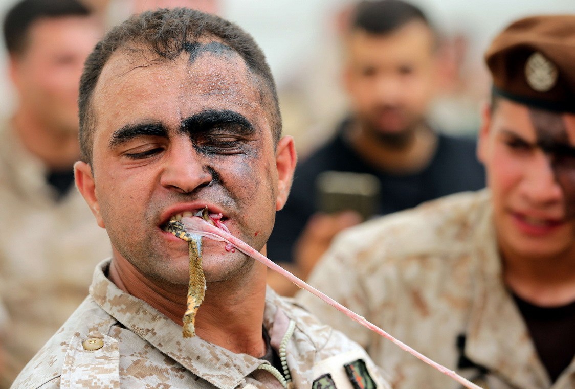 黎巴嫩突击队士兵秀绝技 生吃活蛇徒手拉车