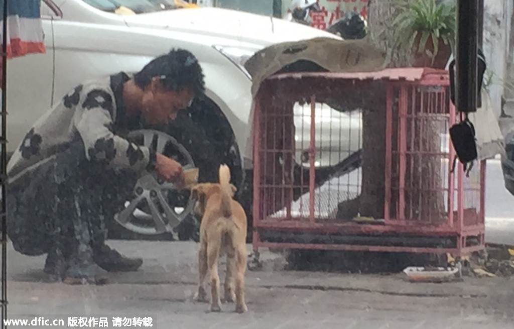 南京一男子逗狗 吃光狗碗里的蒸鸡蛋