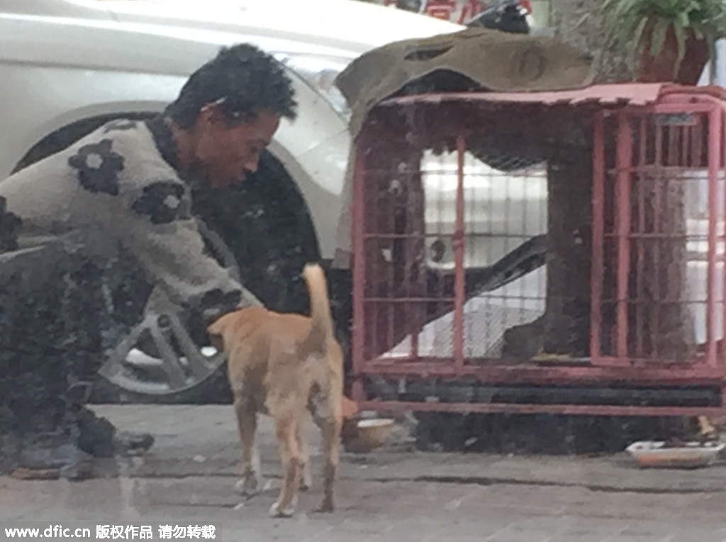 南京一男子逗狗 吃光狗碗里的蒸鸡蛋